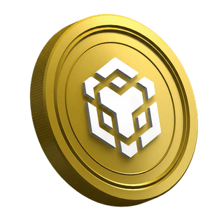 Binance BNB Kryptowährungs-Coin auf der Einstiegsseite für Trader-Anfänger